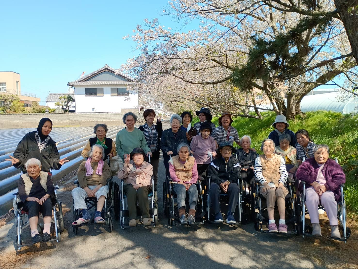 お花見ドライブ