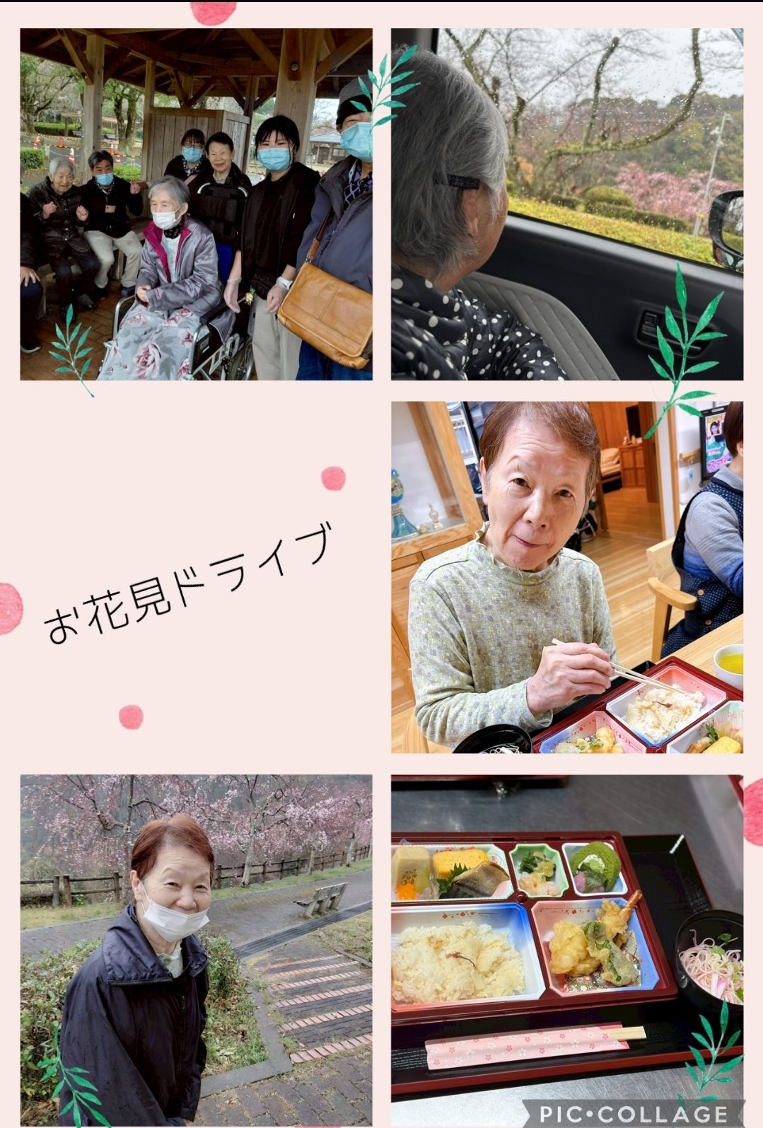 大雅お花見ドライブ🌸