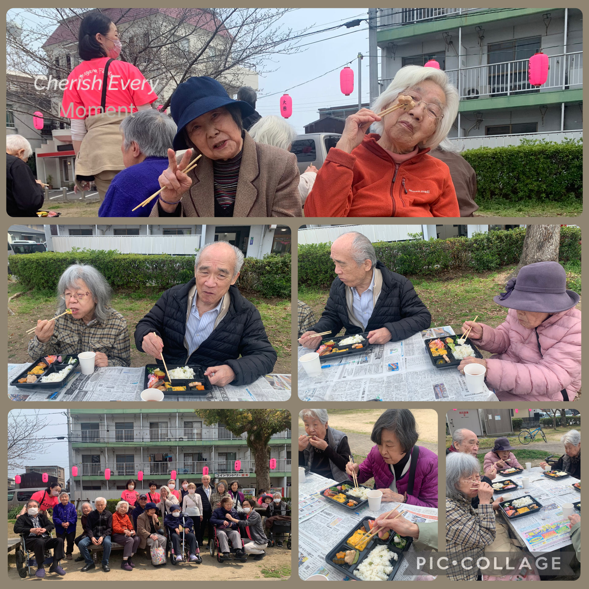 中徳島の家お花見🌸🌟