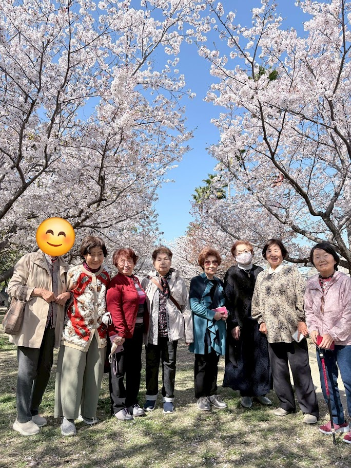 お花見🌸